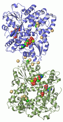 Image Asym.Unit - manually