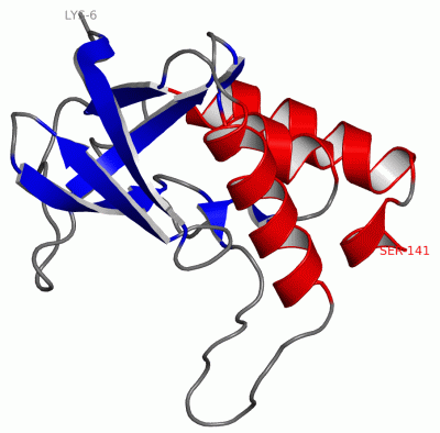 Image Asym./Biol. Unit - manually