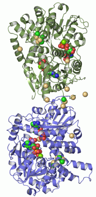 Image Asym.Unit - manually
