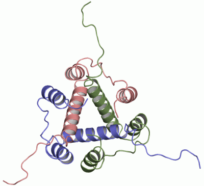 Image NMR Structure - manually