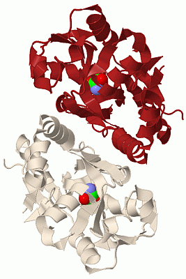 Image Biol.Unit 1 - manually