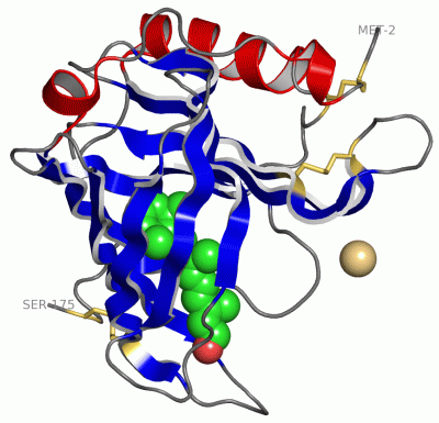 Image Asym./Biol. Unit - manually