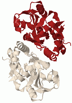 Image Biol.Unit 1 - manually