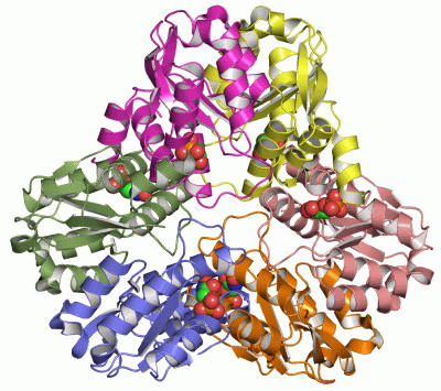 Image Asym./Biol. Unit - manually