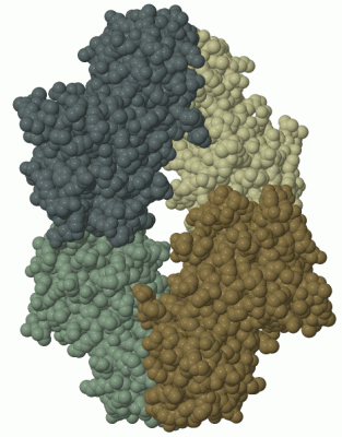 Image Biol.Unit 1 - manually