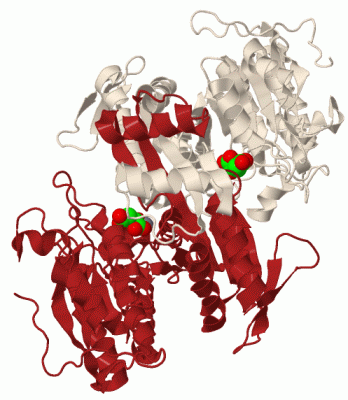 Image Biol.Unit 1 - manually