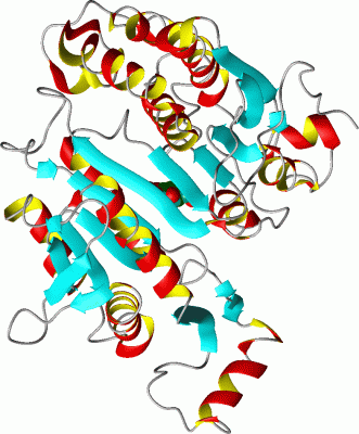 Image Asym.Unit - manually