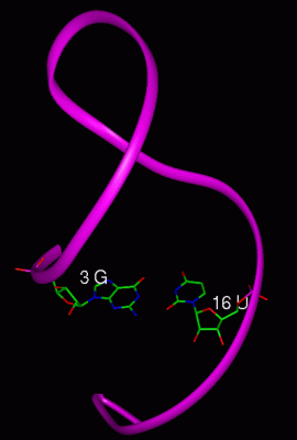 Image NMR Structure - manually