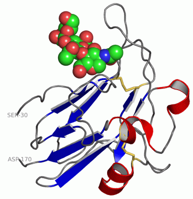 Image Asym./Biol. Unit - manually