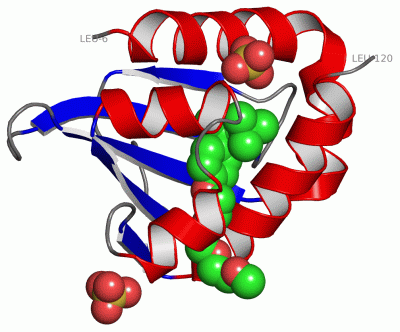 Image Asym./Biol. Unit - manually