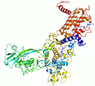 Image Asym./Biol. Unit - manually