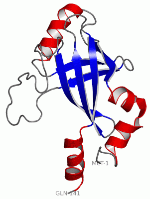 Image NMR Structure - manually