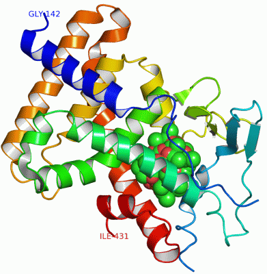 Image Asym./Biol. Unit - manually