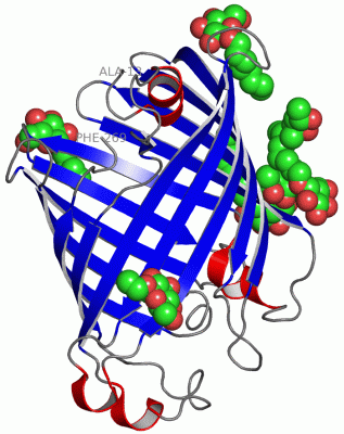 Image Asym./Biol. Unit - manually