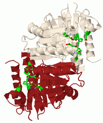 Image Biol.Unit 1 - manually