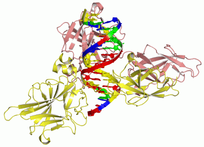 Image Asym./Biol. Unit - manually