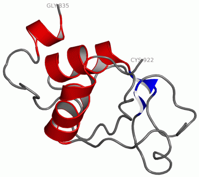 Image NMR Structure - manually