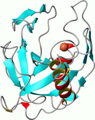 Image Asym.Unit - manually