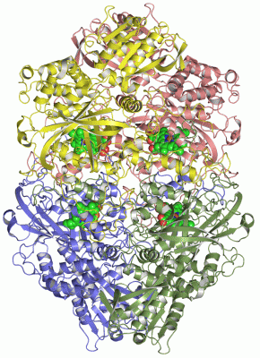 Image Asym./Biol. Unit - manually