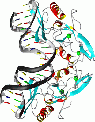 Image Asym./Biol. Unit - manually