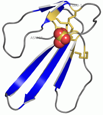 Image Asym./Biol. Unit - manually