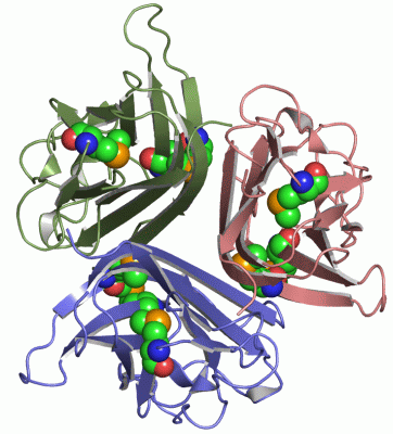 Image Asym./Biol. Unit - manually