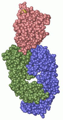 Image Asym./Biol. Unit - manually