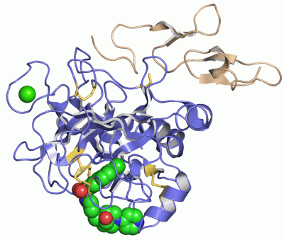 Image Asym./Biol. Unit - manually