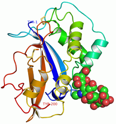 Image Asym./Biol. Unit - manually