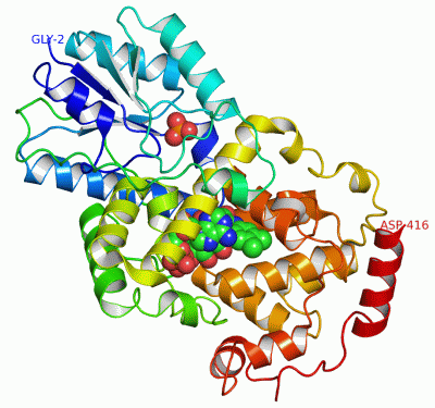 Image Asym./Biol. Unit - manually