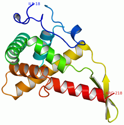 Image Asym./Biol. Unit - manually