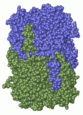 Image Asym./Biol. Unit - manually