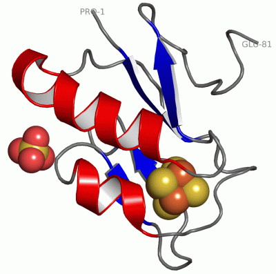 Image Asym./Biol. Unit - manually