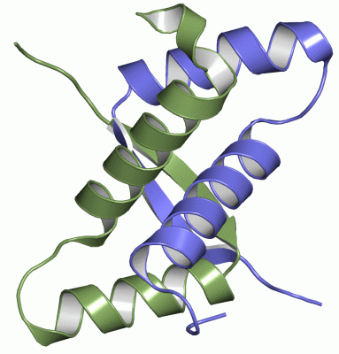 Image Asym./Biol. Unit - manually