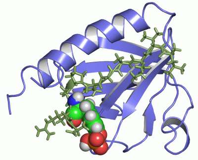 Image NMR Structure - manually