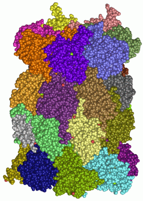 Image Asym./Biol. Unit - manually