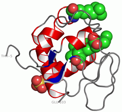 Image Asym./Biol. Unit - manually