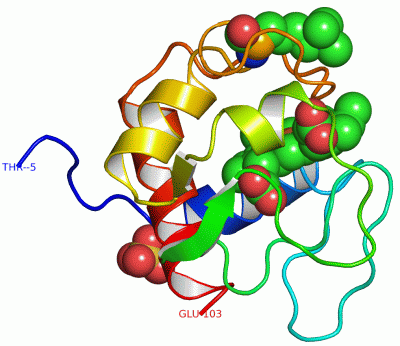 Image Asym./Biol. Unit - manually