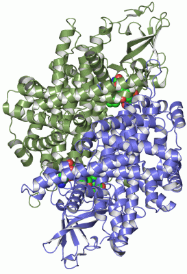 Image Asym./Biol. Unit - manually