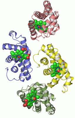 Image Asym.Unit - manually