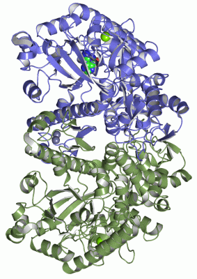 Image Asym./Biol. Unit - manually