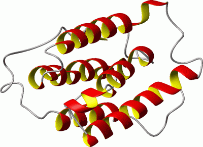 Image NMR Structure - manually