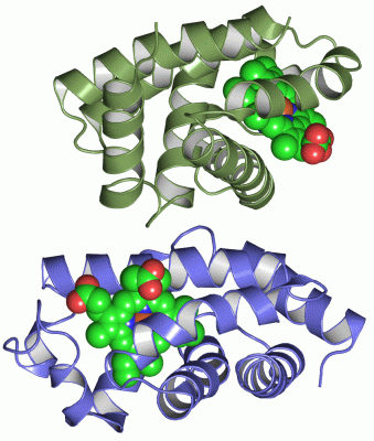 Image Asym.Unit - manually