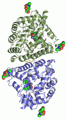 Image Asym./Biol. Unit - manually