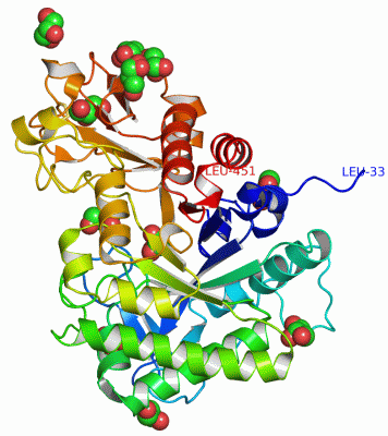 Image Asym./Biol. Unit - manually