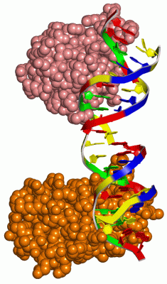 Image Asym./Biol. Unit - manually