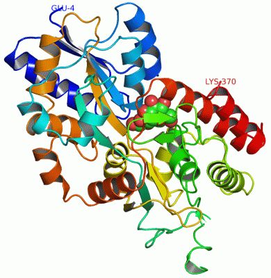 Image Asym./Biol. Unit - manually