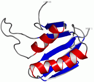 Image NMR Structure - manually