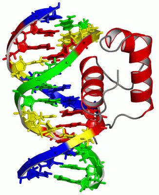 Image NMR Structure - manually