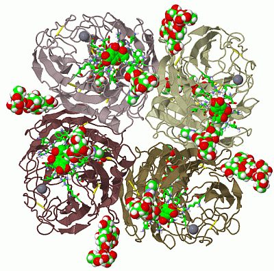 Image Biol.Unit 1 - manually